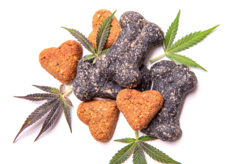 Dog treats and cannabis leaves isolated over white background