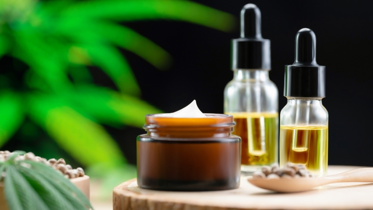 Cannabis and cosmetic concept features with set of CBD oil bottles, cream jar, and wooden bowl of hemp seeds. Legalized cannabis for skincare products.
