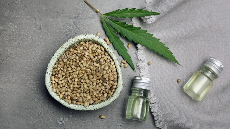 Flat lay composition with hemp seeds and bottles of extract on grey background